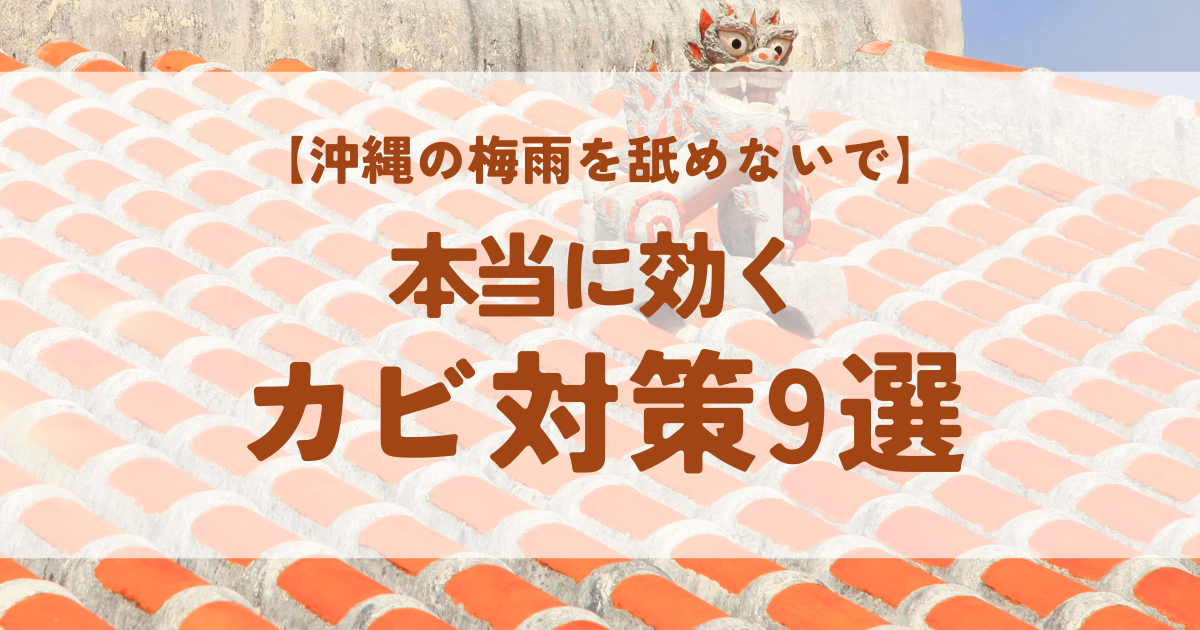カビ対策